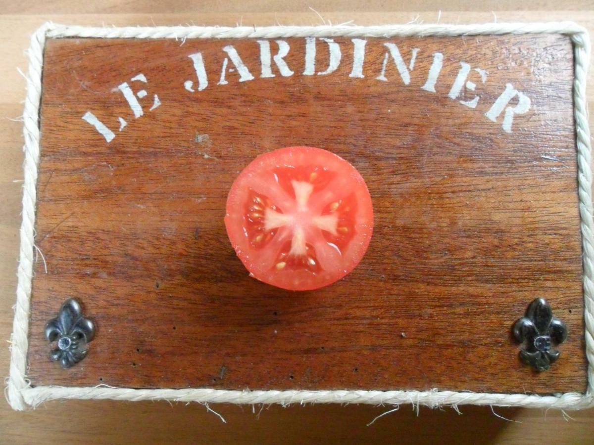 Chambres D'Hotes La Turone Cheillé 외부 사진